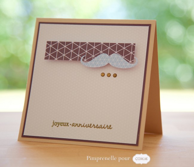 pimprenelle-pour-Com16-papier-imprimable-carte-anniversaire-masculin-2015-10-01