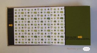 marthilde_pour_com16_collection diane_album nature2